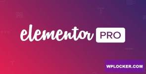 Elementor Pro | #1 Premium WordPress Website Builder v3.8.0