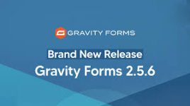 Gravityforms - 2.5.6