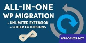 All-in-One WP Migration Extensions Package