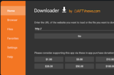 Panel + apk Downloader