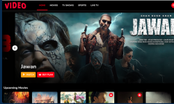 Video Streaming Portal (TV Shows, Movies, Sports, Videos Streaming, Live TV)