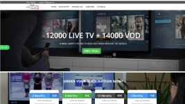 IPeeTV Seller WebSite Templates  Site 1