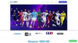 IPeeTV Seller WebSite Templates  Site 2