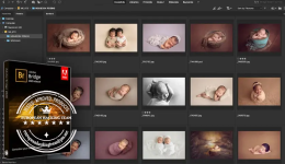 Adobe Bridge 2025 v15.0 for MacOS Pre-Activated