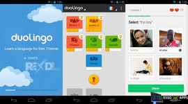 1744749804698.png 1744749804698.png