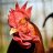Doc's Cock